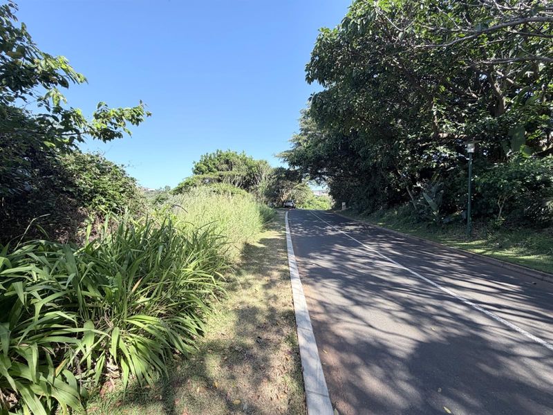 North facing Vacant Land Simbithi - Photo 8