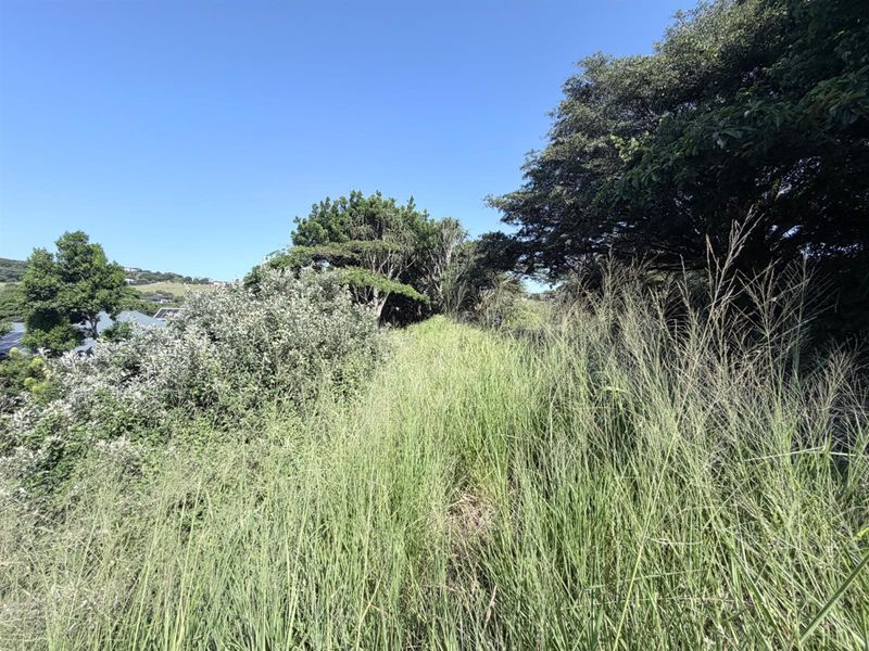 North facing Vacant Land Simbithi - Photo 2