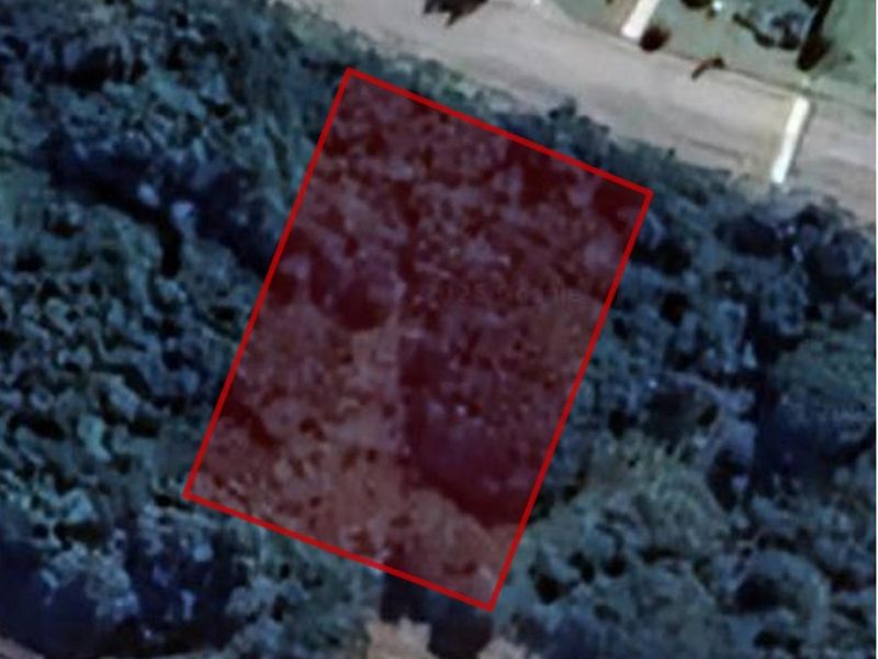 Vacant Land on the Peninsula in Kleinemonde - Photo 6