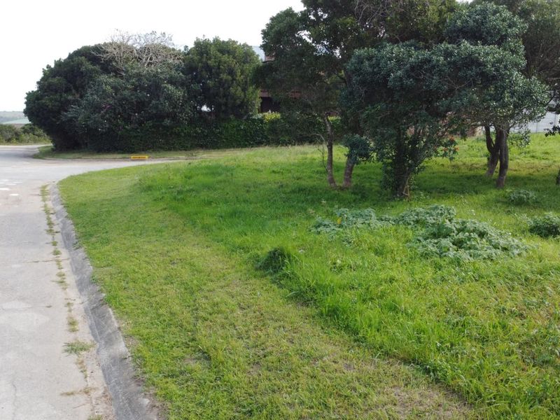 Corner Plot on the Peninsula in Kleinemonde - Photo 4