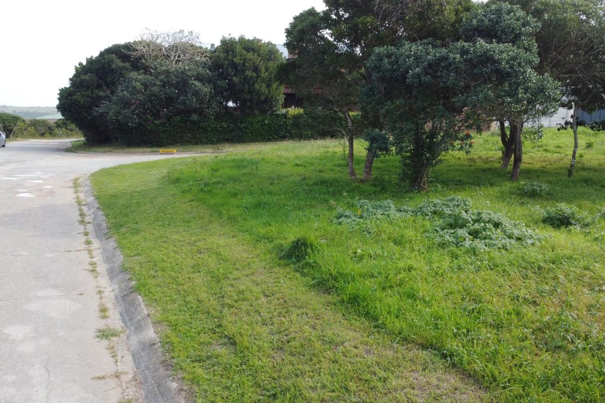 Corner Plot on the Peninsula in Kleinemonde - Photo 4