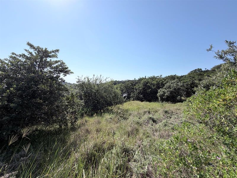 Best views over signature fairway - Photo 8
