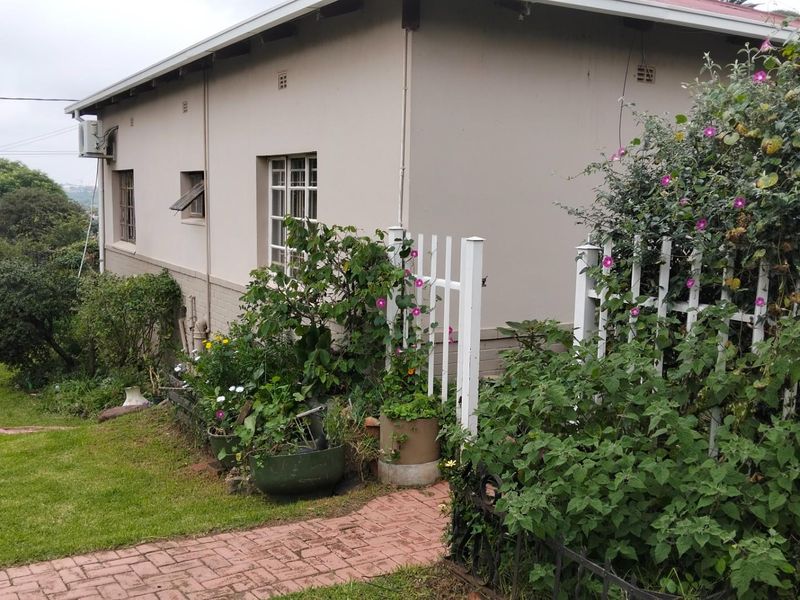 3 Beds 1 Bath on 1397sqm ideal Pet Friendly Home lots of trees plants nature is at your doorstep!! - Photo 2