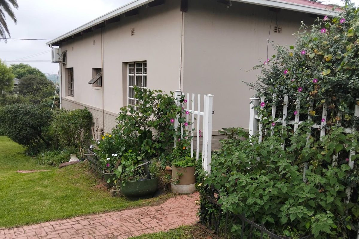 3 Beds 1 Bath on 1397sqm ideal Pet Friendly Home lots of trees plants nature is at your doorstep!! - Photo 2