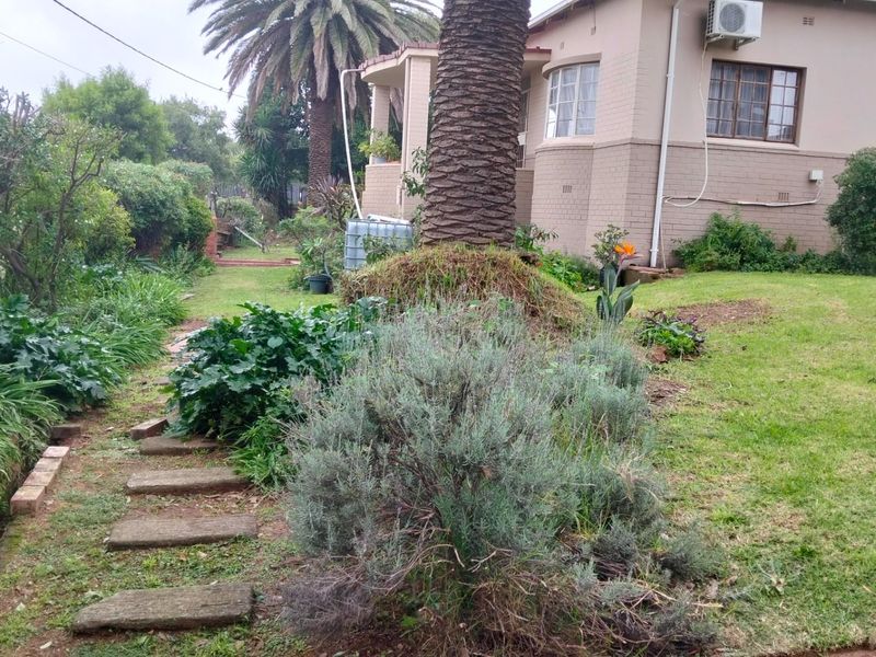 3 Beds 1 Bath on 1397sqm ideal Pet Friendly Home lots of trees plants nature is at your doorstep!! - Photo 6