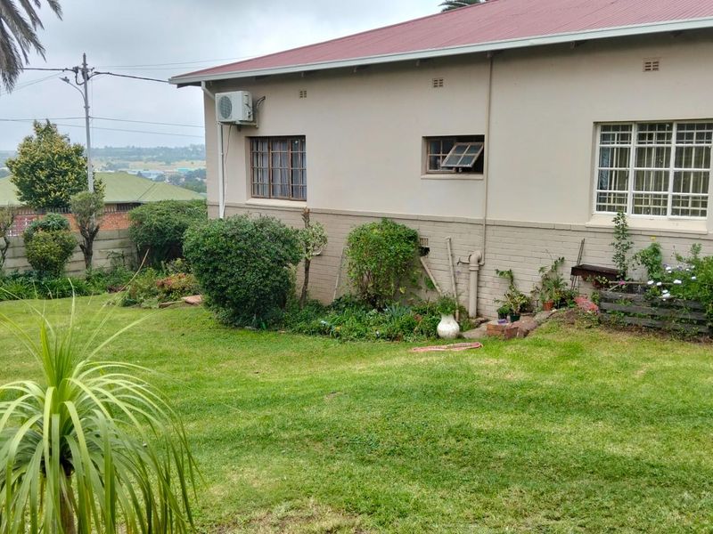 3 Beds 1 Bath on 1397sqm ideal Pet Friendly Home lots of trees plants nature is at your doorstep!! - Photo 1