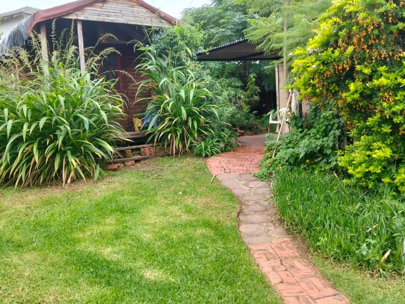 3 Beds 1 Bath on 1397sqm ideal Pet Friendly Home lots of trees plants nature is at your doorstep!! - Photo 9