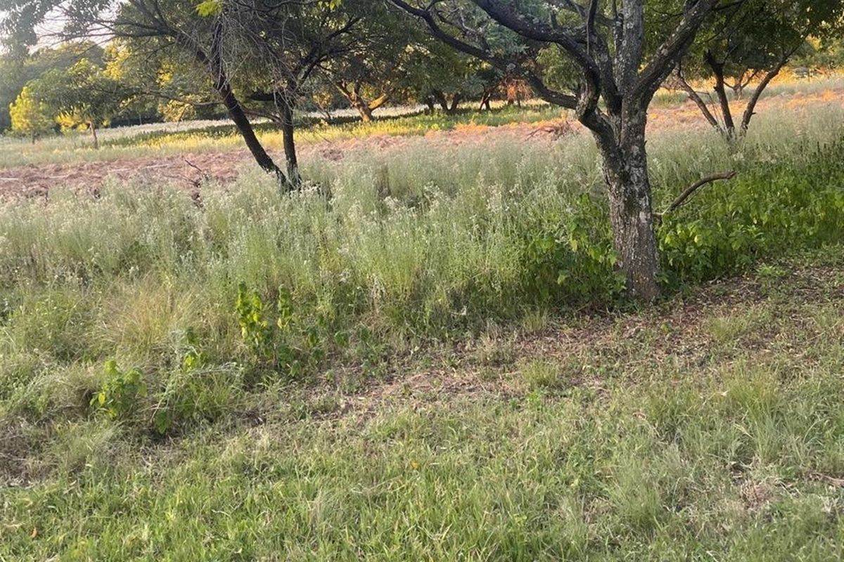 1ha 10 000 sqm PRIME LOCATION Vacant Land For Rent in Glenferness, Midrand - Photo 5