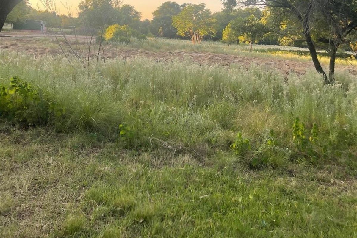 A view of the vacant residential land featuring natural grass, mature trees, and open space, suitable for future development.