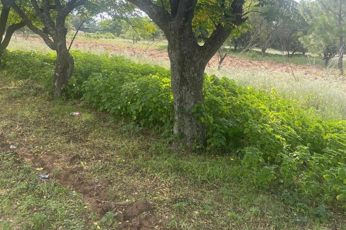 A view of the vacant residential land featuring mature trees and natural vegetation, offering a blank canvas for future development.