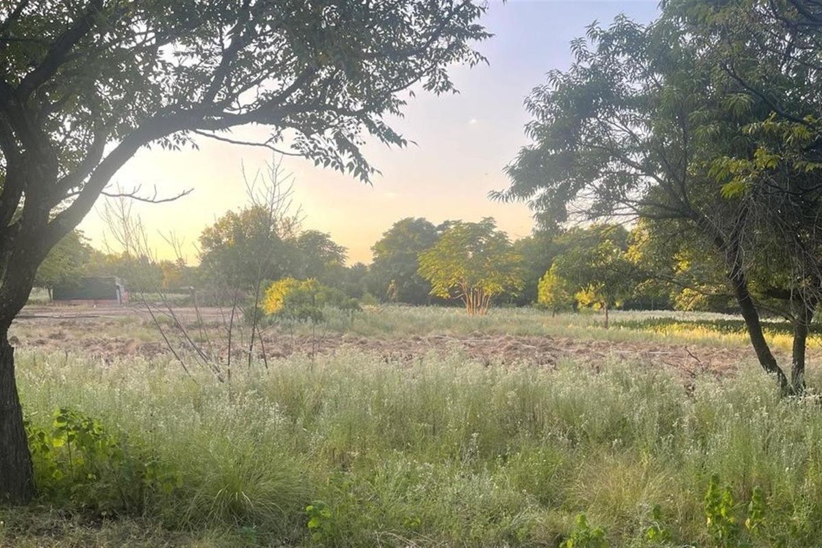 A view of a vacant residential land plot featuring mature trees and natural vegetation, offering a peaceful and scenic setting for future development.