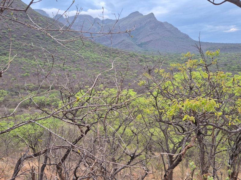 Plot with the best view in Hoedspruit, against Drakensberg Mountain - Photo 8