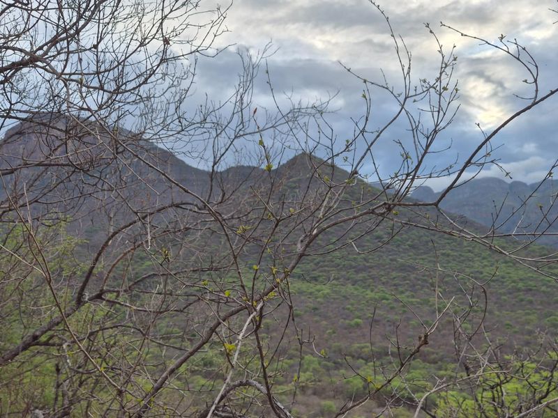 Plot with the best view in Hoedspruit, against Drakensberg Mountain - Photo 7