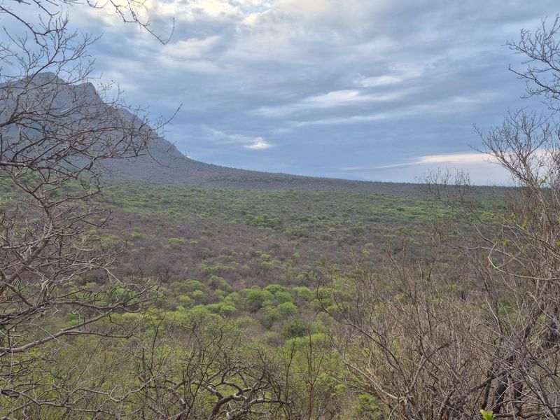 Plot with the best view in Hoedspruit, against Drakensberg Mountain - Photo 3