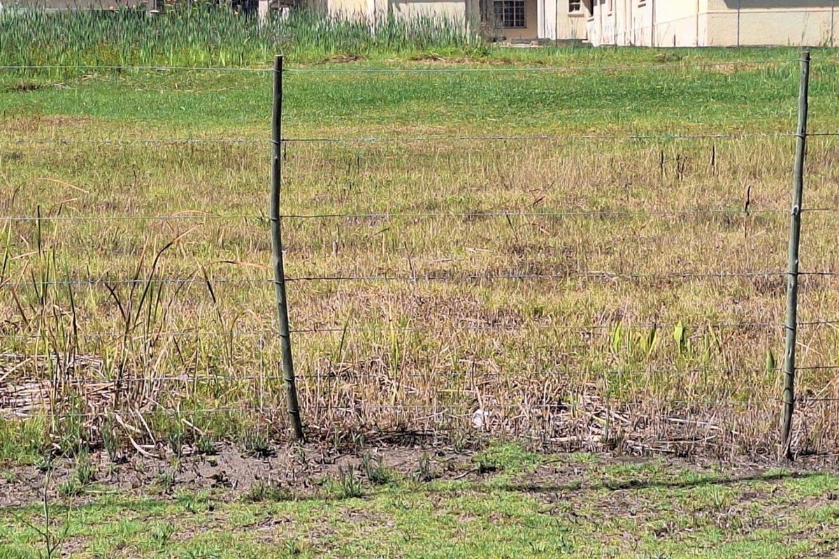 Vacant Land For Sale in Albertinia - Photo 2