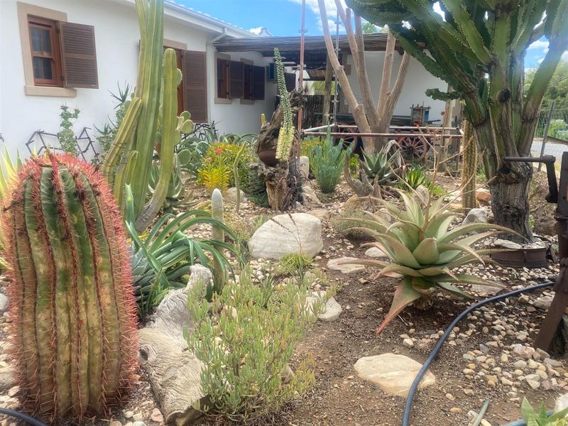 Established Self-Catering Investment with Spacious Family Living - Photo 6