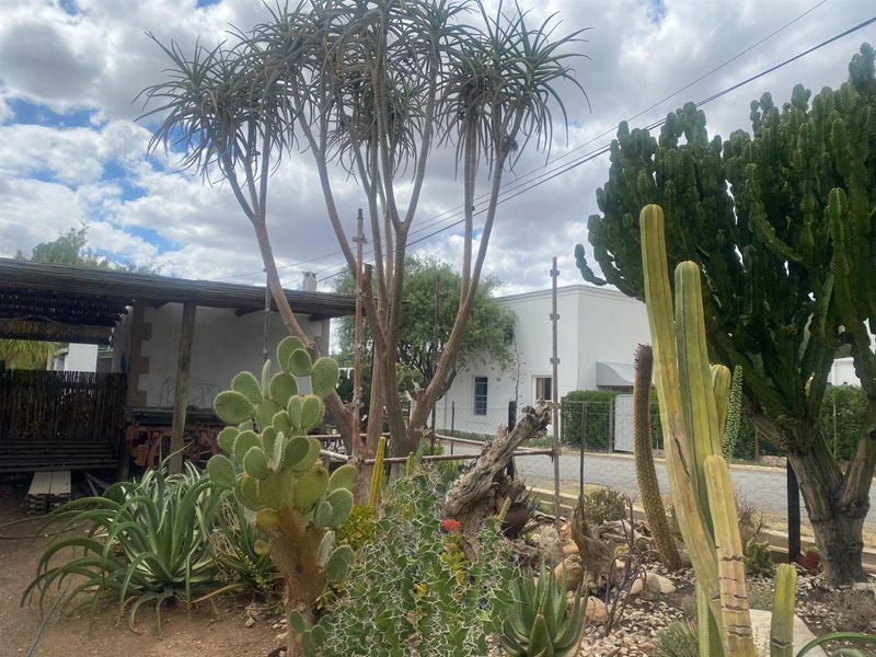 Established Self-Catering Investment with Spacious Family Living - Photo 5