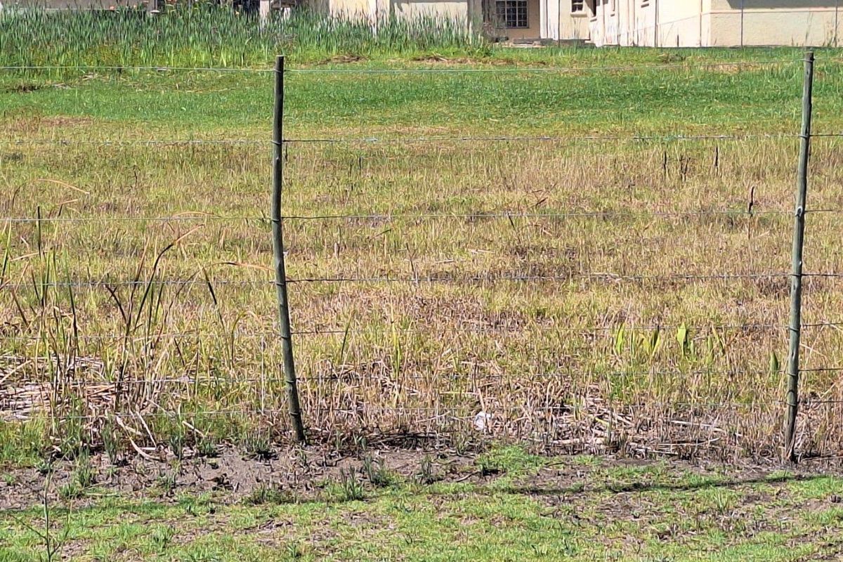 Vacant Land For Sale in Albertinia - Photo 2