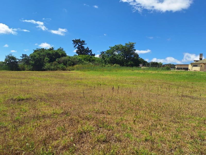 Vacant Land For Sale in Albertinia - Photo 4