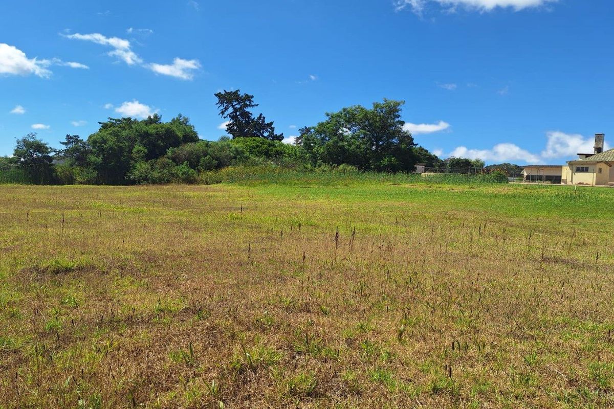 Vacant Land For Sale in Albertinia - Photo 4