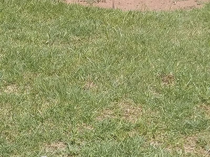 Business For Sale in Duvha Park, Witbank - Photo 3