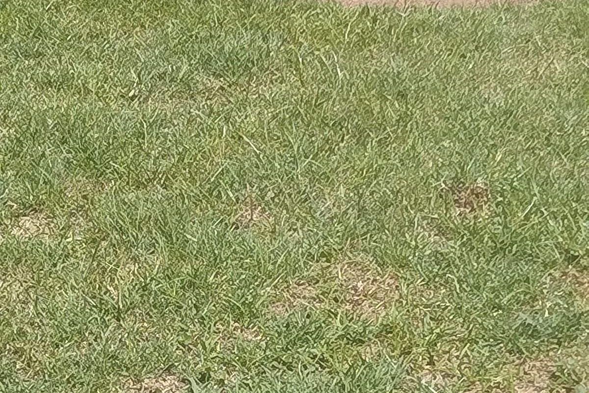 Business For Sale in Duvha Park, Witbank - Photo 3