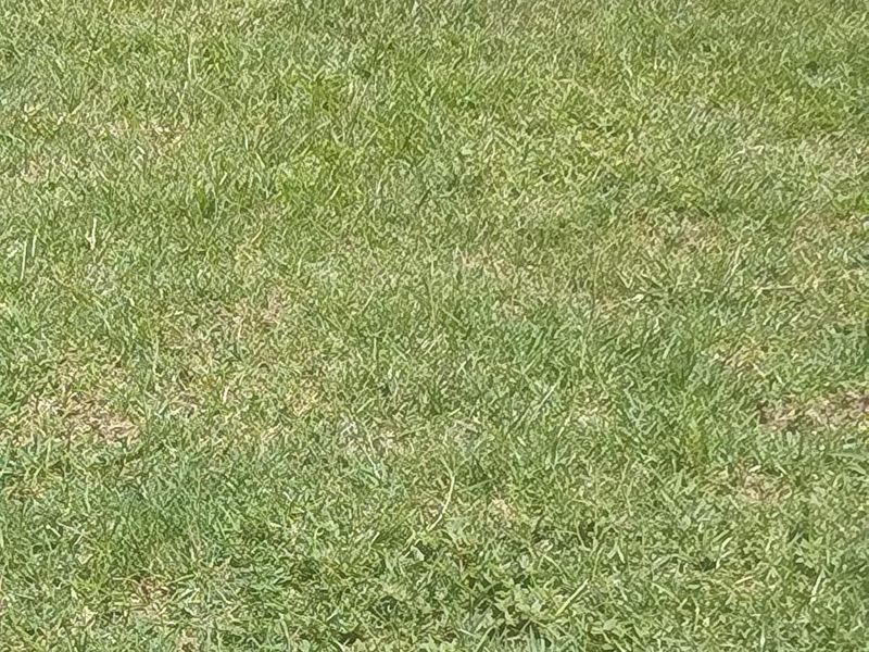 Business For Sale in Duvha Park, Witbank - Photo 2