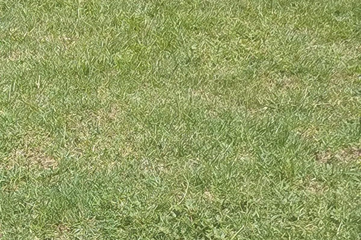 Business For Sale in Duvha Park, Witbank - Photo 2