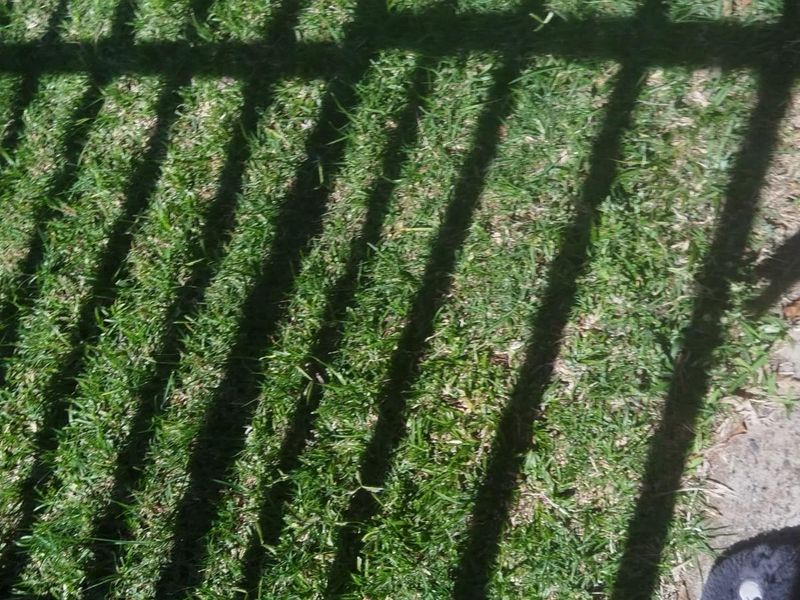 Business For Sale in Duvha Park, Witbank - Photo 4