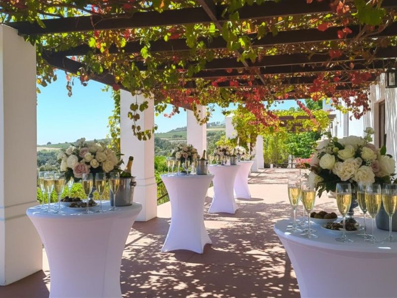 Farm For Sale in Stellenbosch Farms, Stellenbosch - Photo 3