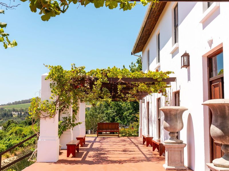 Farm For Sale in Stellenbosch Farms, Stellenbosch - Photo 7