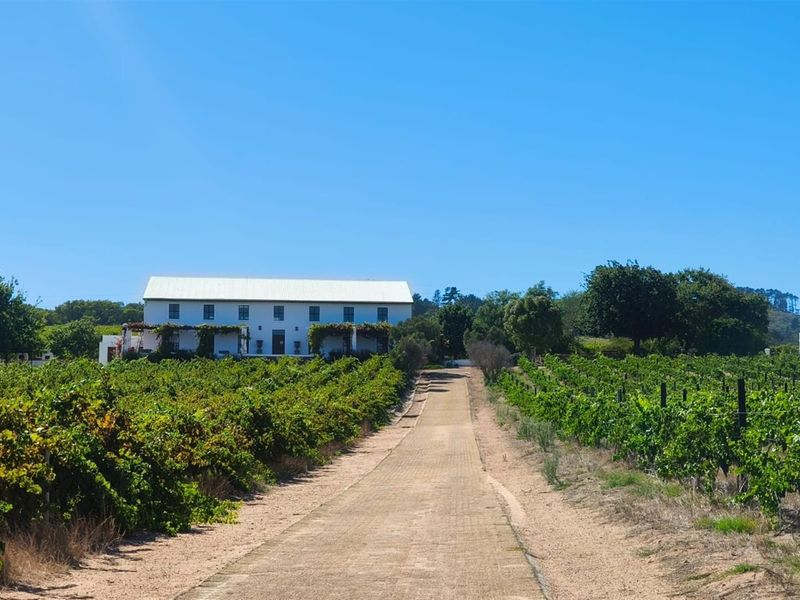 Farm For Sale in Stellenbosch Farms, Stellenbosch - Photo 10