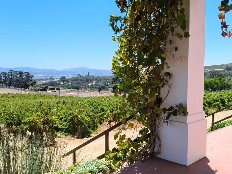 Farm For Sale in Stellenbosch Farms, Stellenbosch - Photo 8