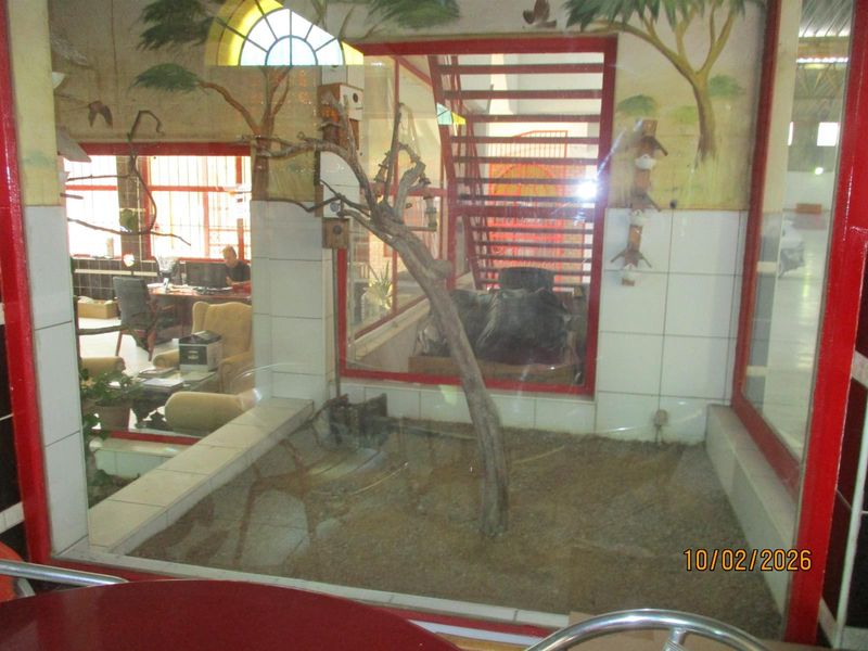 MIX-USE BUILDING FOR SALE IN TROJAN, JOHANNESBURG - Photo 4