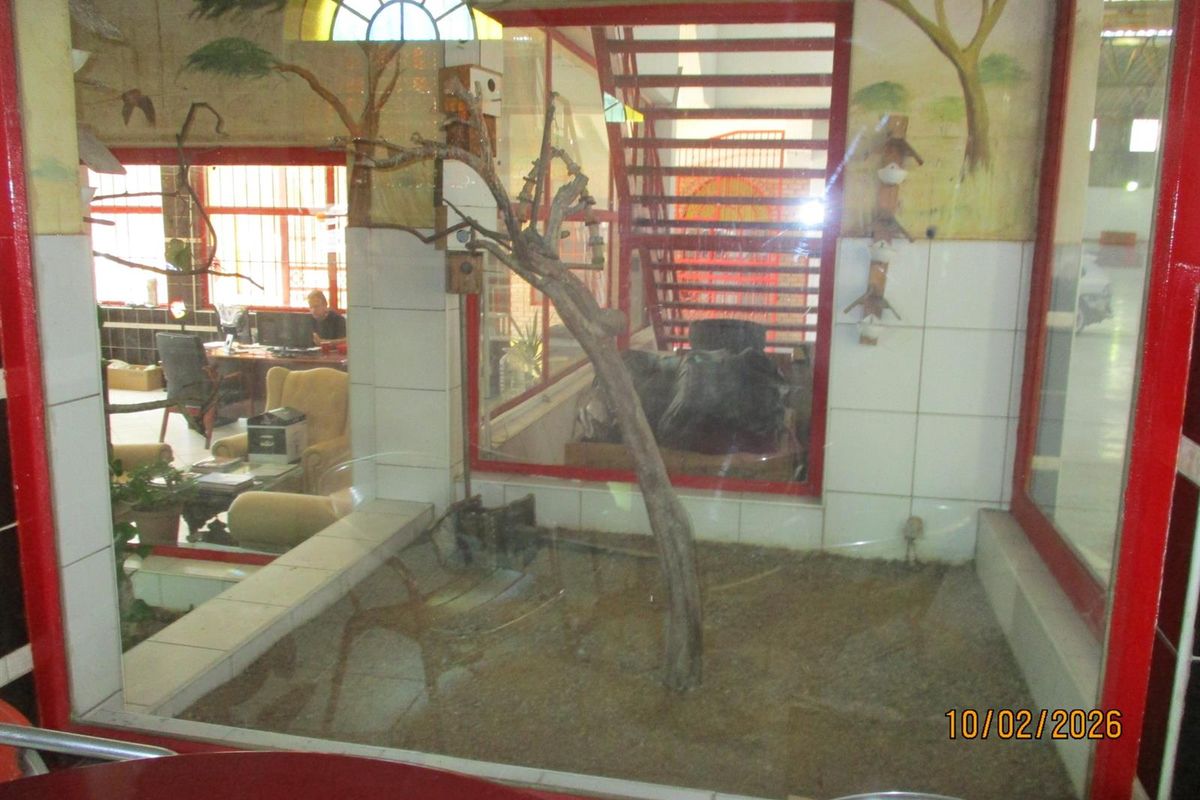 MIX-USE BUILDING FOR SALE IN TROJAN, JOHANNESBURG - Photo 4