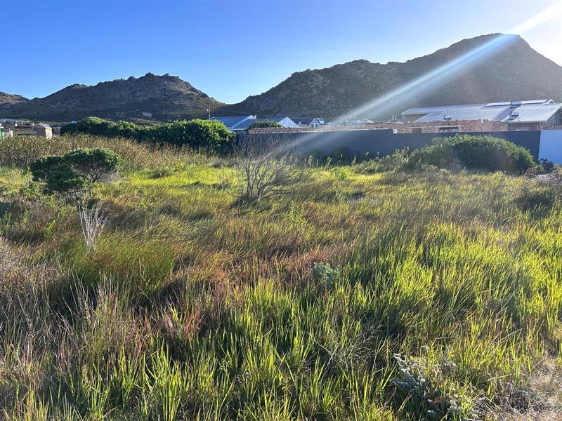 Vacant Land For Sale in Pringle Bay - Photo 3