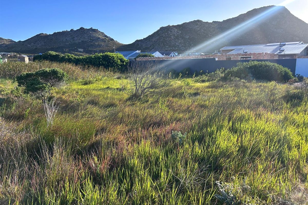 Vacant Land For Sale in Pringle Bay - Photo 3