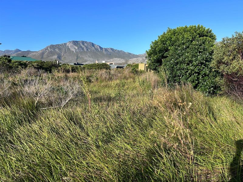 Vacant Land For Sale in Pringle Bay - Photo 4