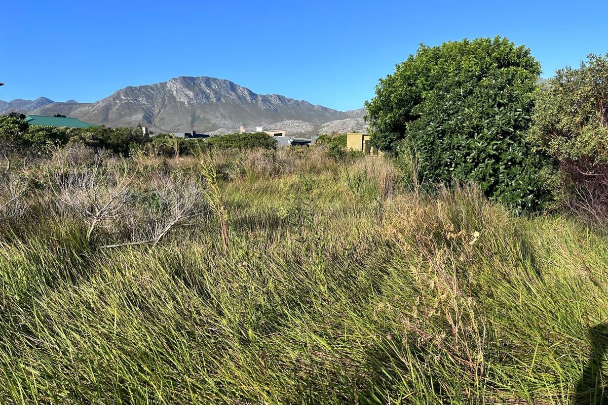 Vacant Land For Sale in Pringle Bay - Photo 4