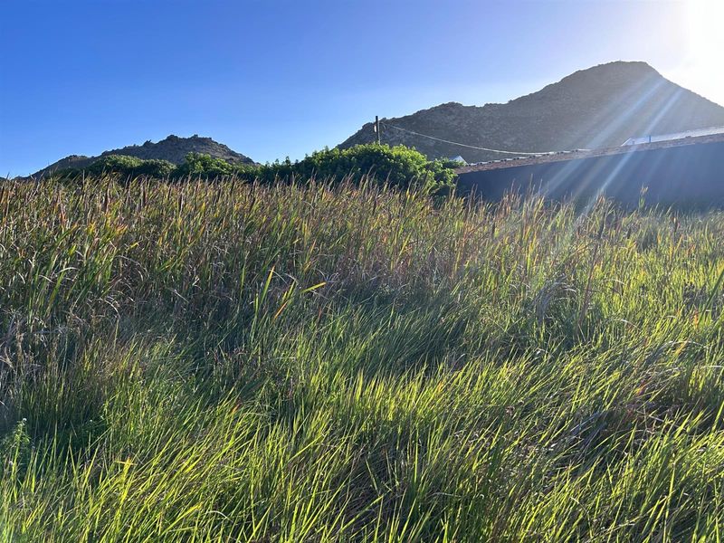 Vacant Land For Sale in Pringle Bay - Photo 6