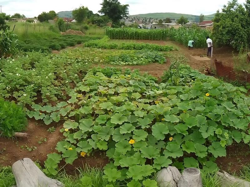 House for sale emondlo - Photo 7