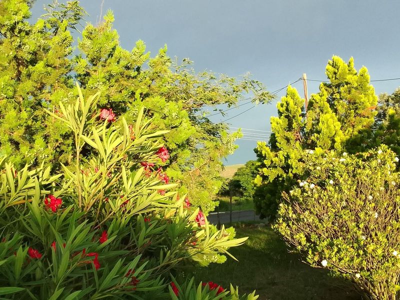 House for sale emondlo - Photo 4