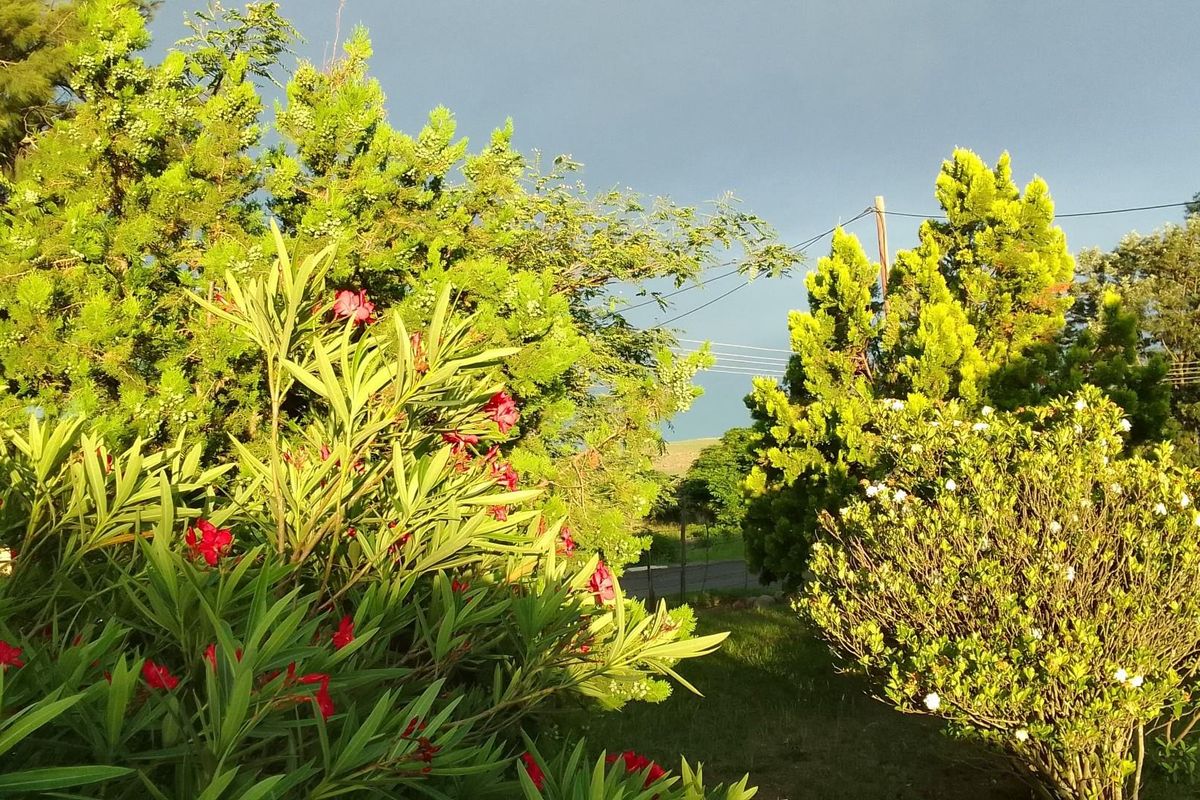 House for sale emondlo - Photo 4