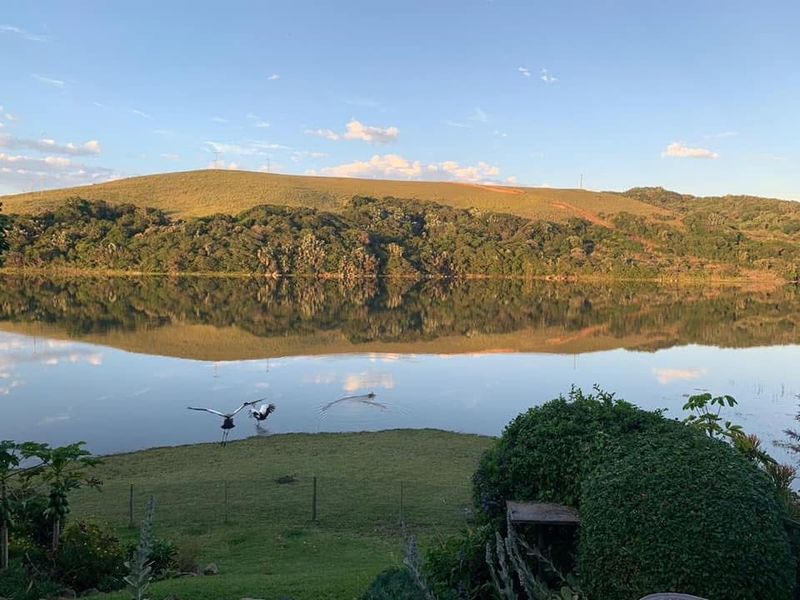 Stunning Home from Home in Morgan Bay - Photo 7