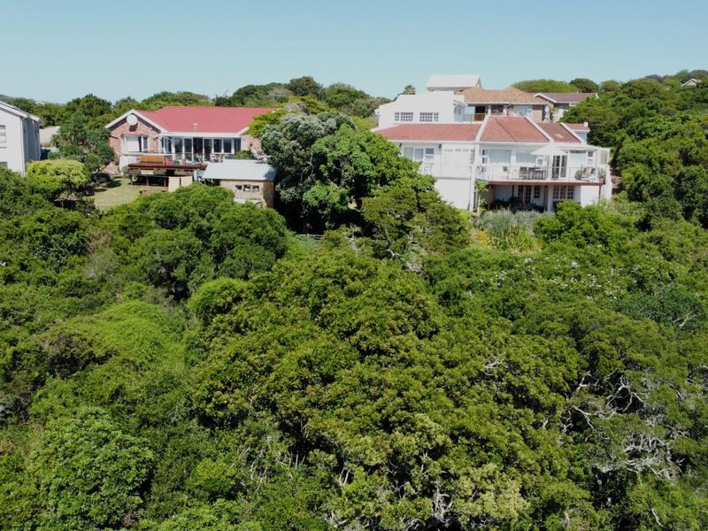 An aerial view of residential properties nestled within a lush, dense coastal forest setting.