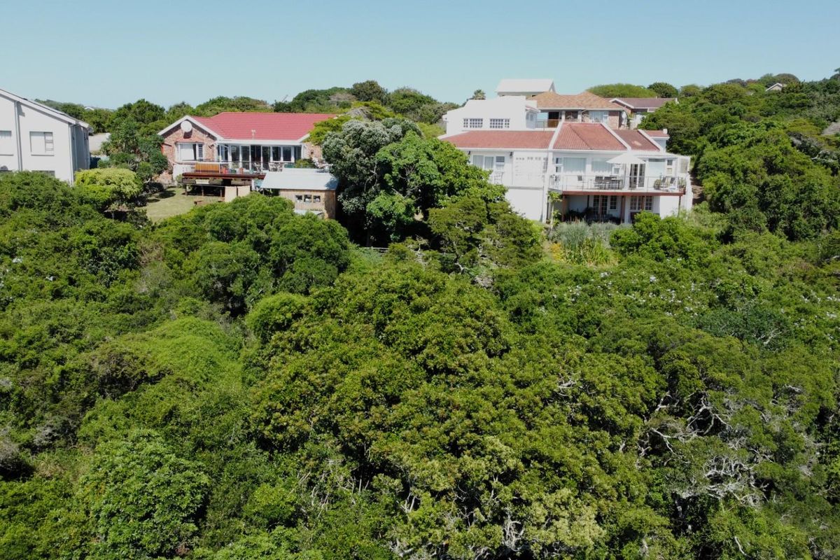 An aerial view of residential properties nestled within a lush, dense coastal forest setting.