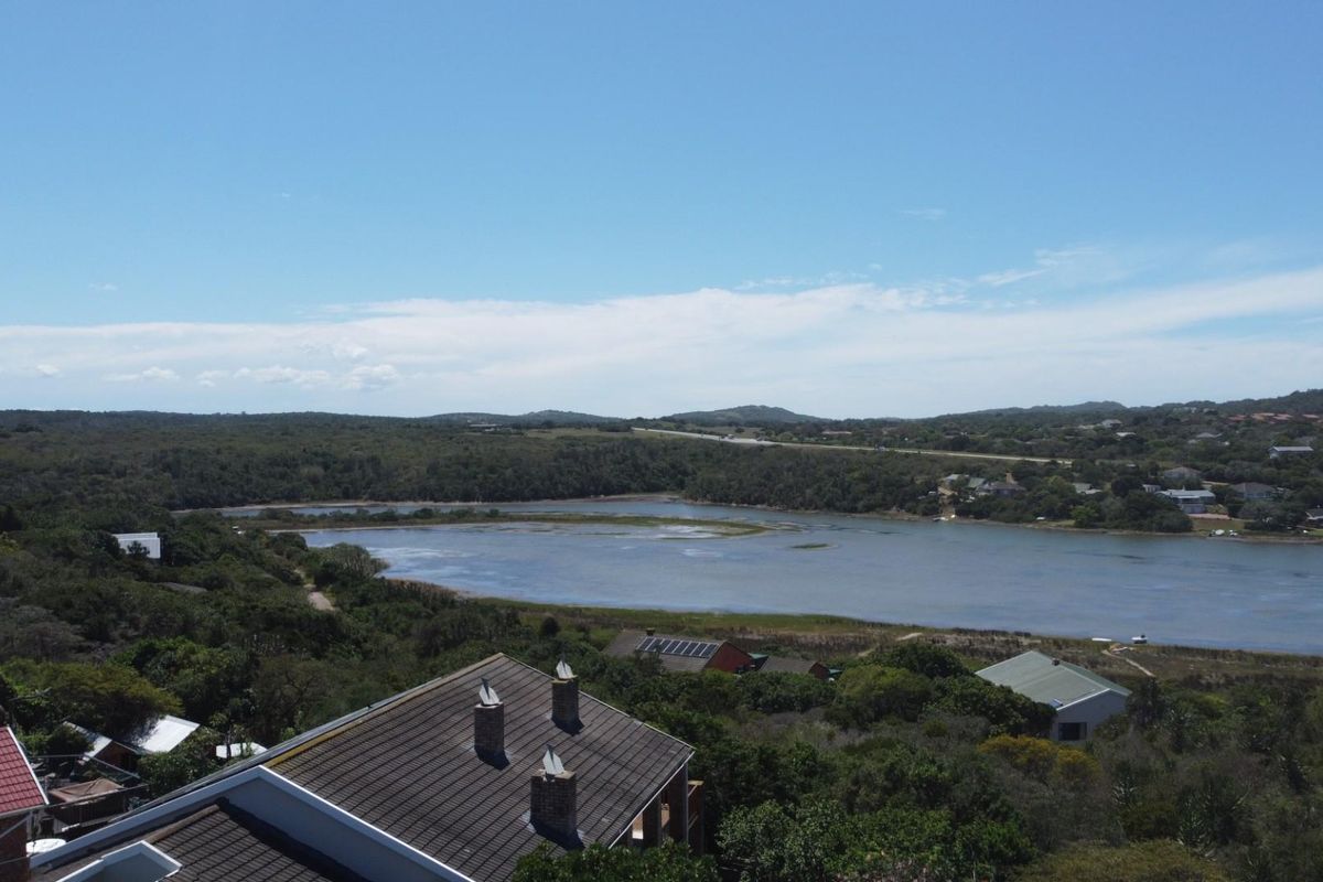 Elevated aerial view overlooking a scenic lagoon, surrounding natural vegetation, and nearby residential properties.