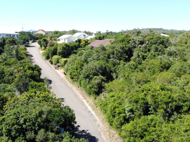 Aerial view of a vacant residential plot densely covered with indigenous vegetation, situated along a paved suburban road.