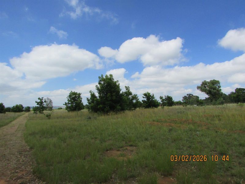 2.5HA SMALL HOLDING FOR SALE BRONKHORSTSPRUIT - Photo 4