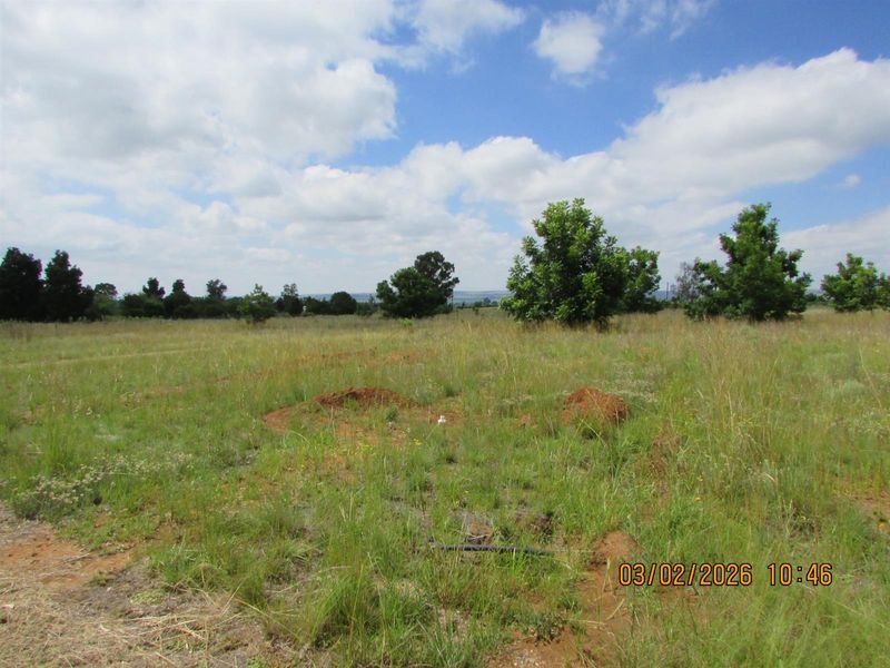 2.5HA SMALL HOLDING FOR SALE BRONKHORSTSPRUIT - Photo 8